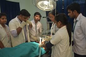 NARAYANA SEVA SADAN INSTITUTE 